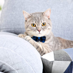 Weewooday collar para gato con hebilla de ruptura para seguridad diaria.