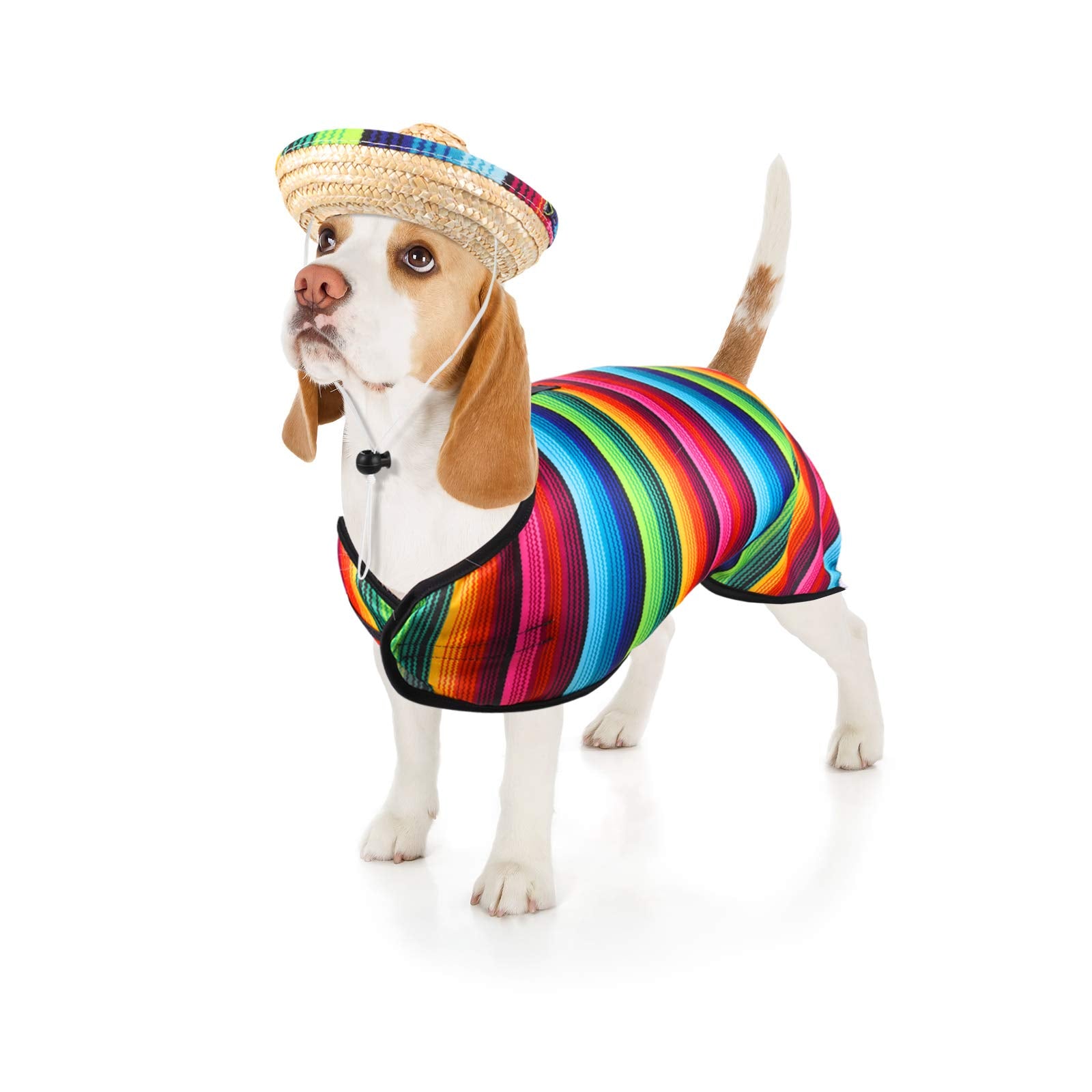 Weewooday conjunto sombrero y serape para perro: perfecto para fiestas temáticas.