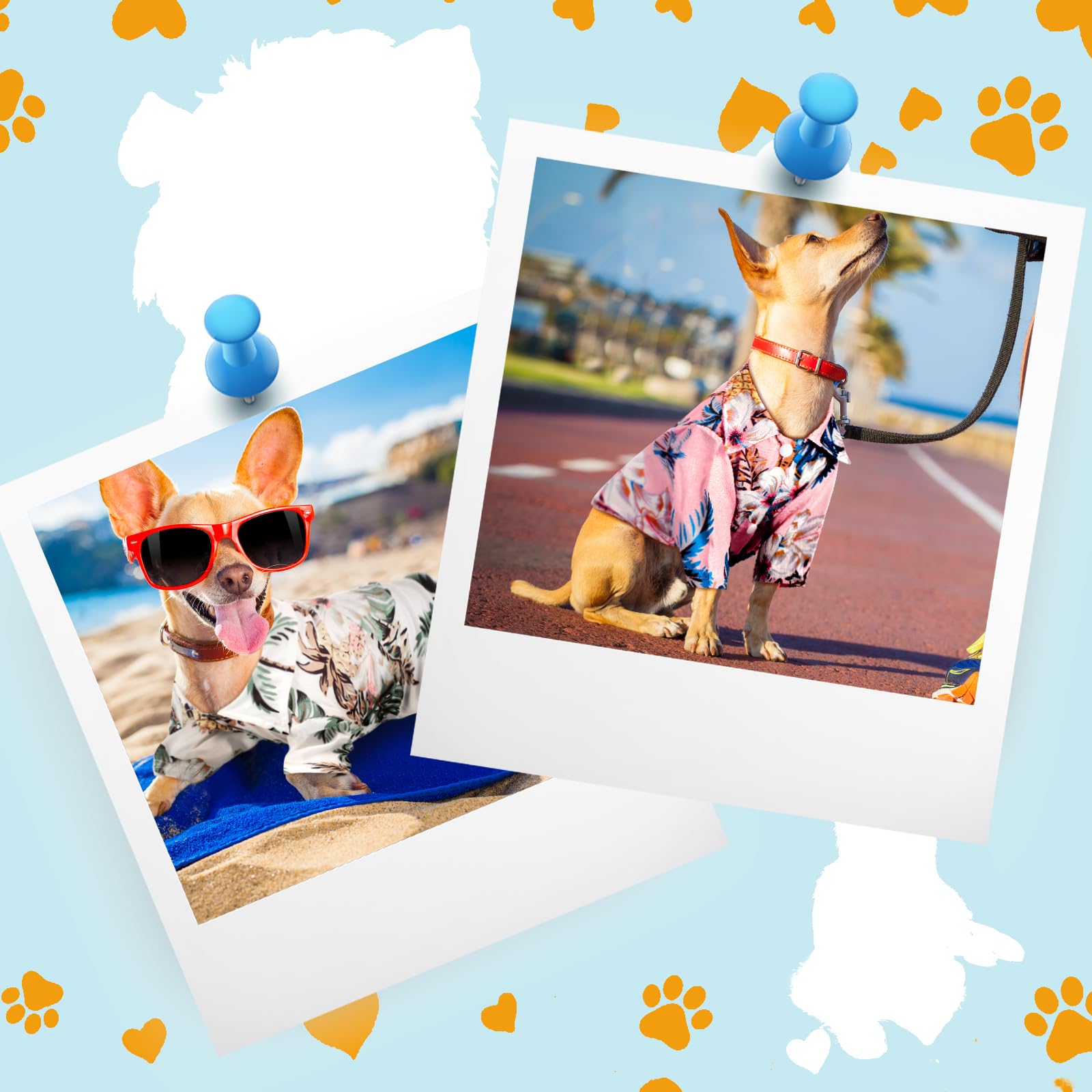 Weewooday haut estival orange vif, idéal pour voyages et balades.