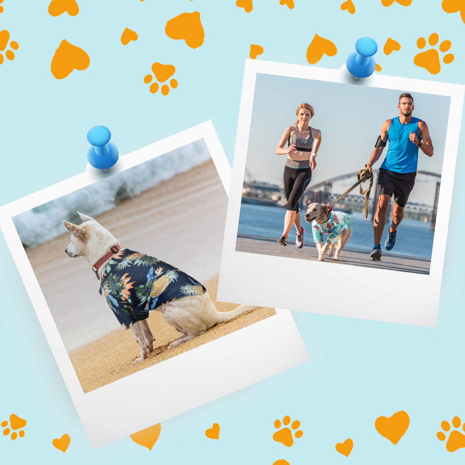 Weewooday pack de 4 camisetas para perro en Hawaii