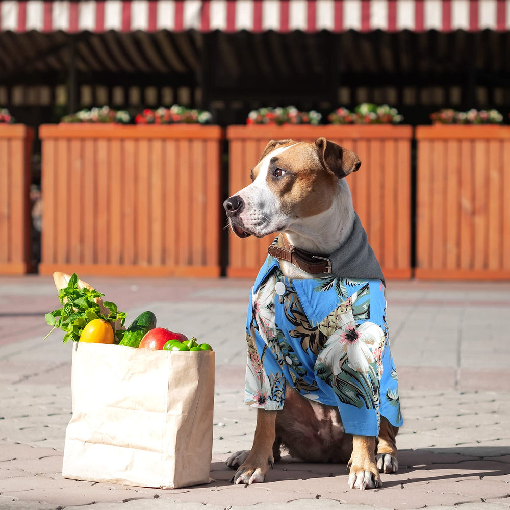 Weewooday t-shirt chien Hawaii palmier-ananas 2, prêt pour des sorties en plein air.