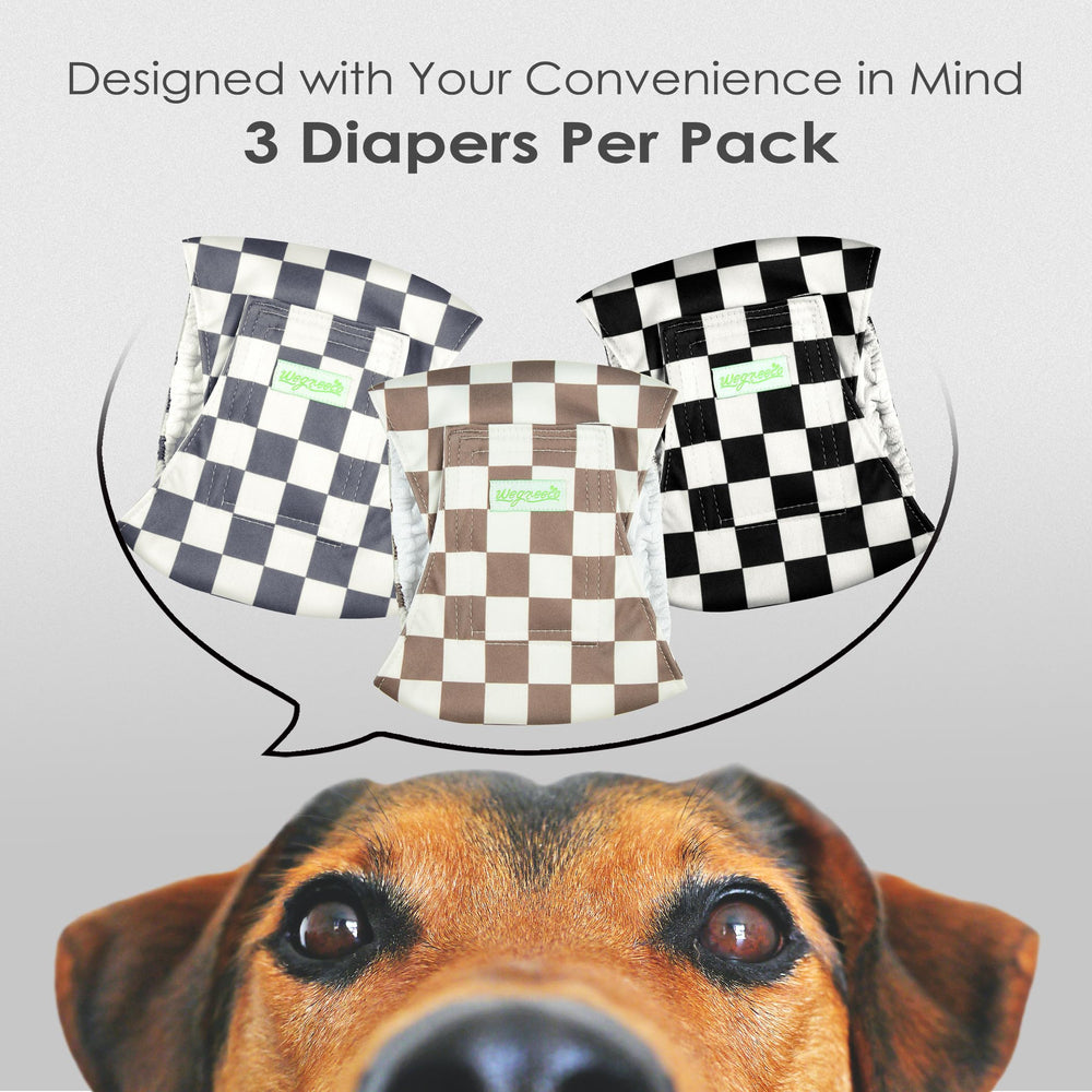 Bandita Wegreeco para perro macho, estampado gris, ideal para entrenamiento.