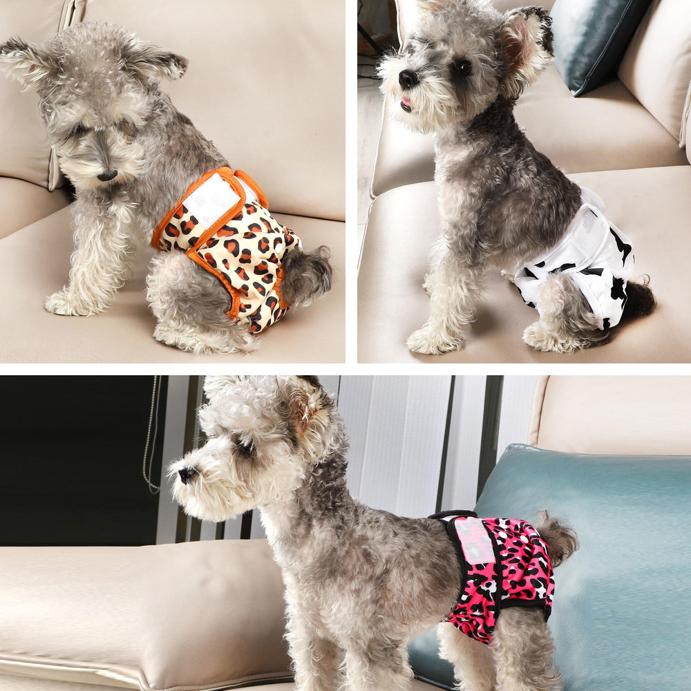 pañales Wegreeco en tres colores modernos para tu mascota