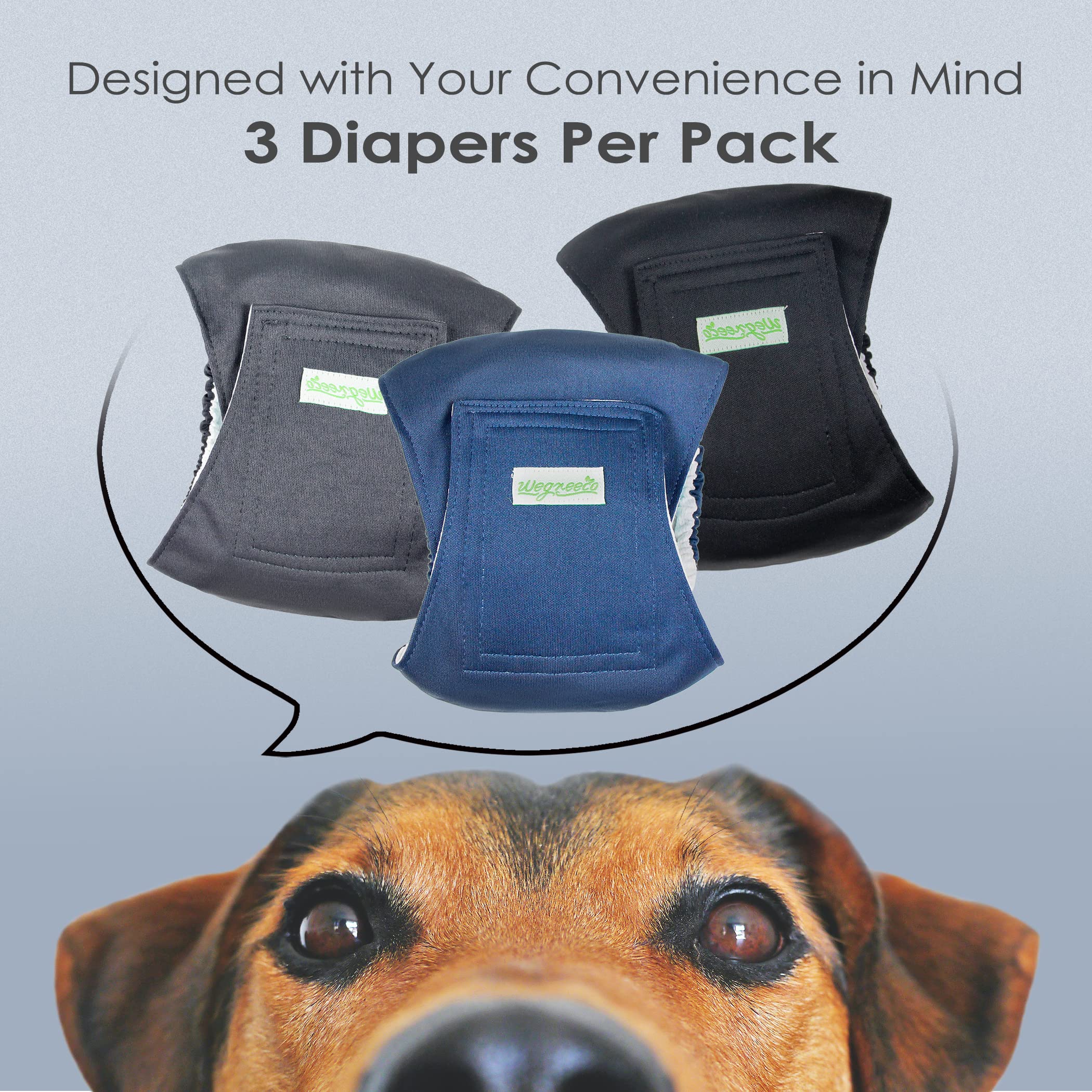 Pañales lavables Wegreeco para perros machos en ceniza, diseño discreto y práctico.