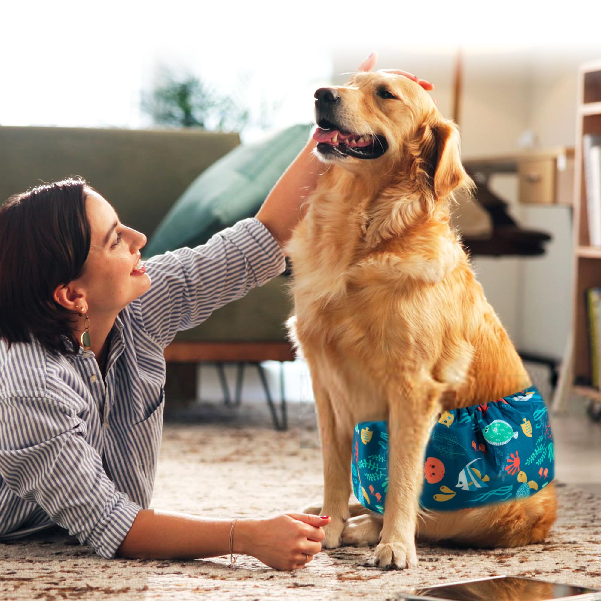 Wegreeco paquete-5-cintas-para-perro facilita rotación diaria.