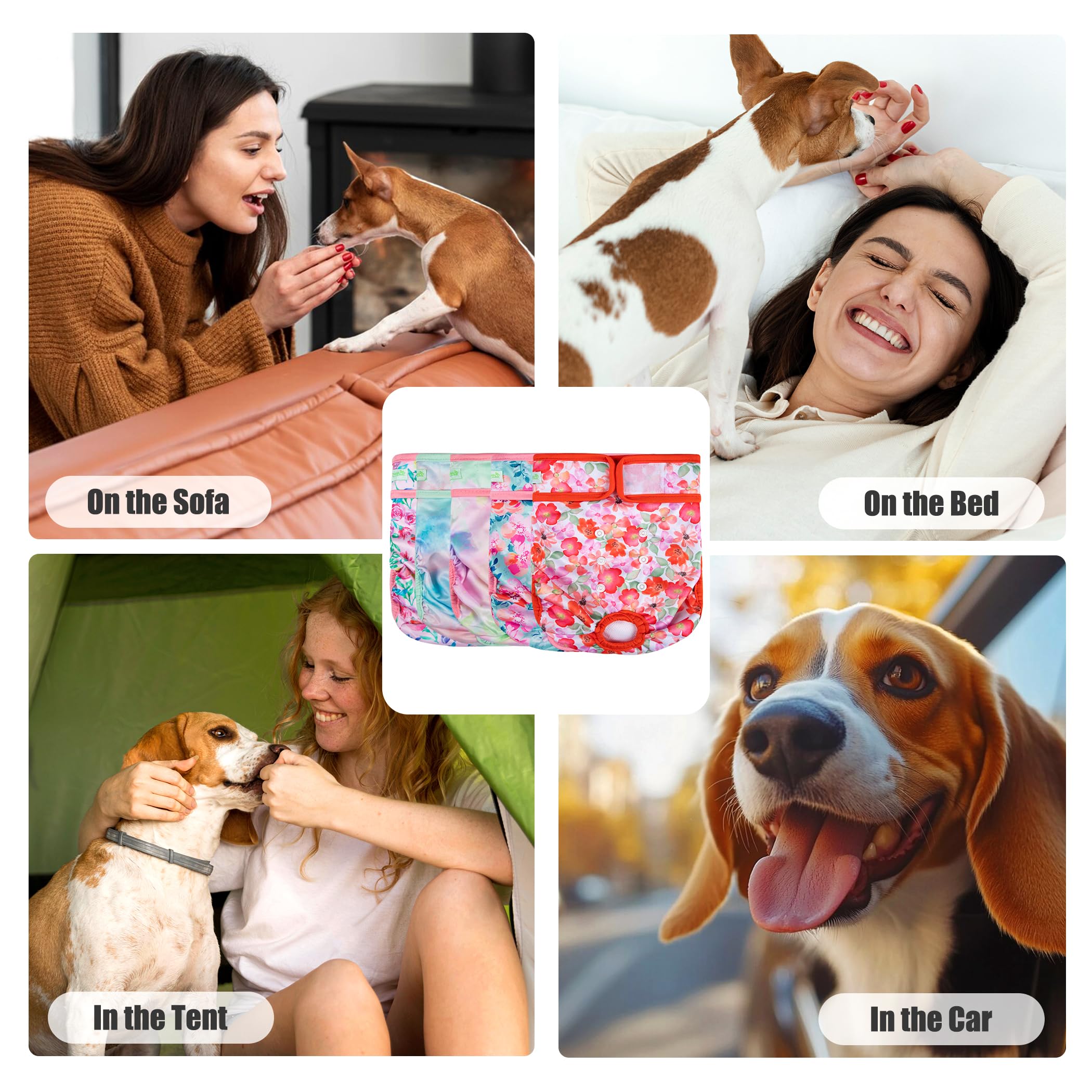 Uso múltiple Wegreeco para perra en celo, confort y limpieza del hogar.