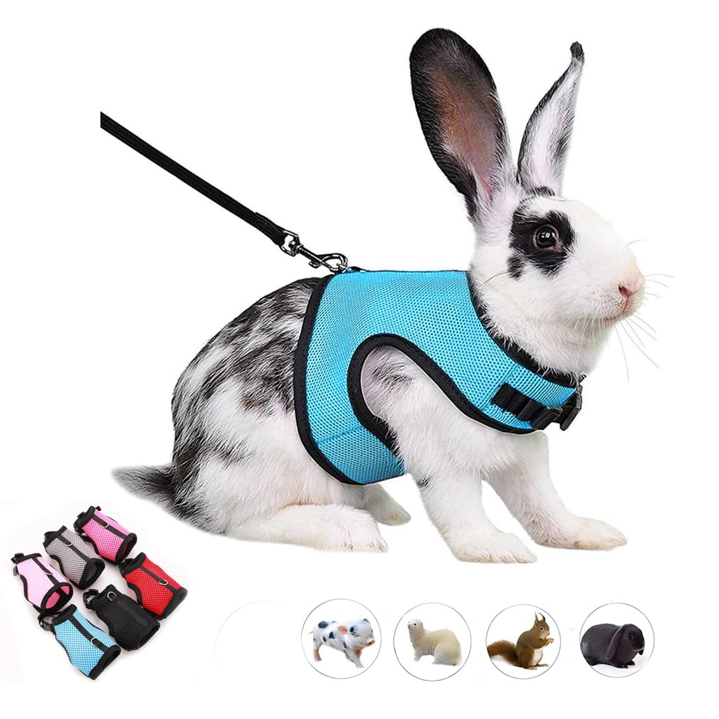 Arnés WeimoMonkey para conejo, malla resistente, ideal para paseos.