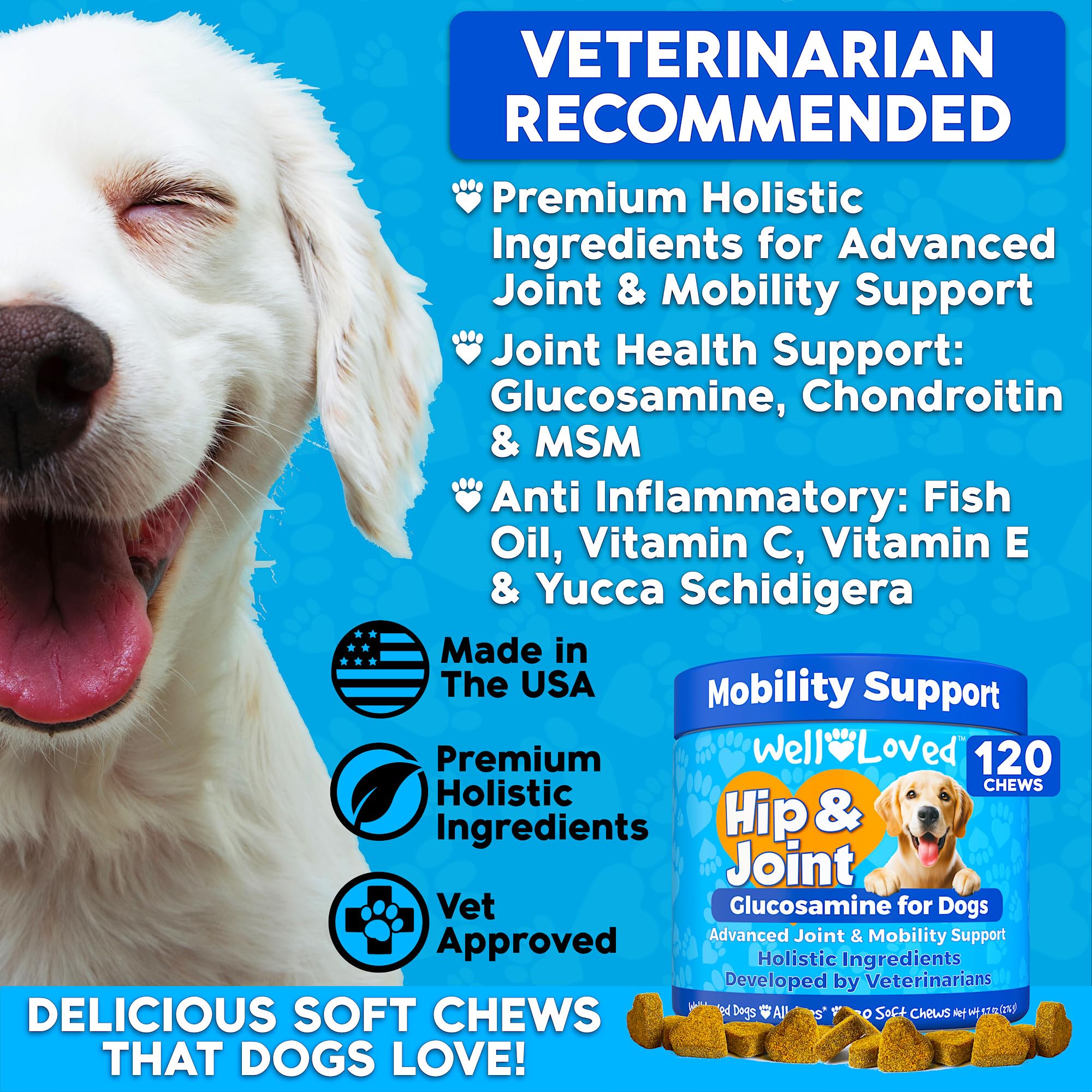 Well Loved Glucosamina para perros: condroitina y MSM para soporte articular diario.