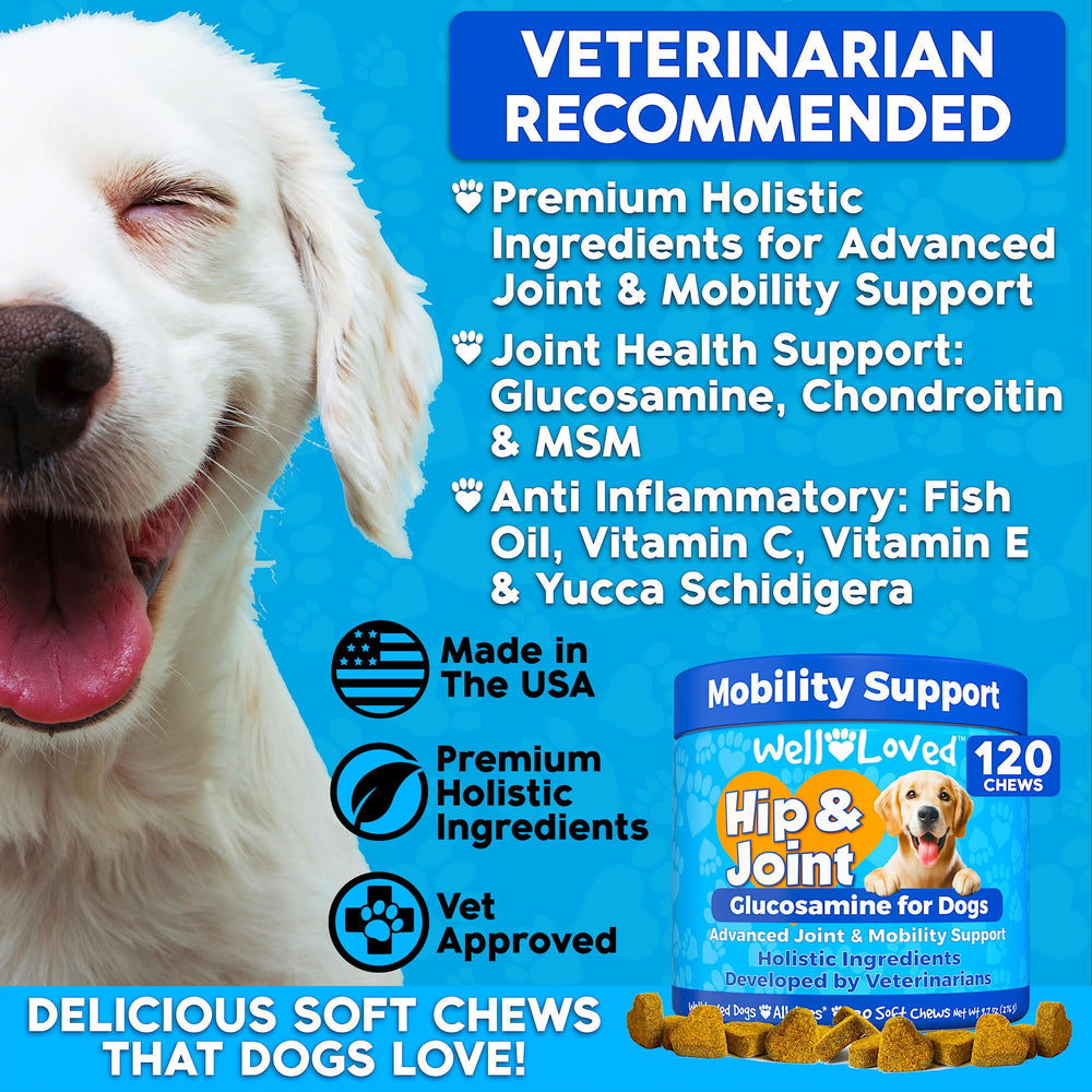 Well Loved Glucosamina para perros: condroitina y MSM para soporte articular diario.