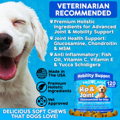 Well Loved Glucosamina para perros: condroitina y MSM para soporte articular diario.