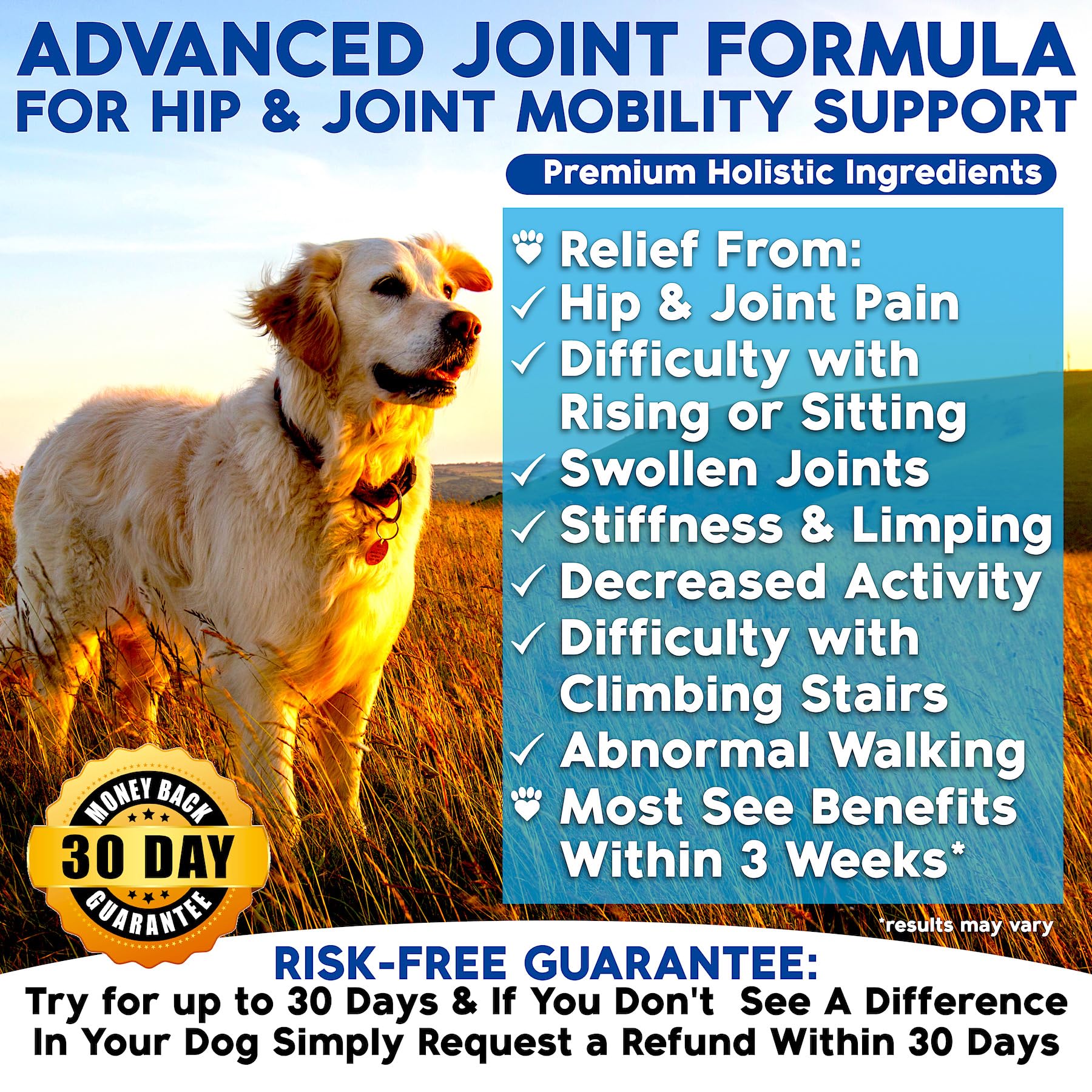 Well Loved Glucosamina para perros: masticables suaves para articulaciones más flexibles.