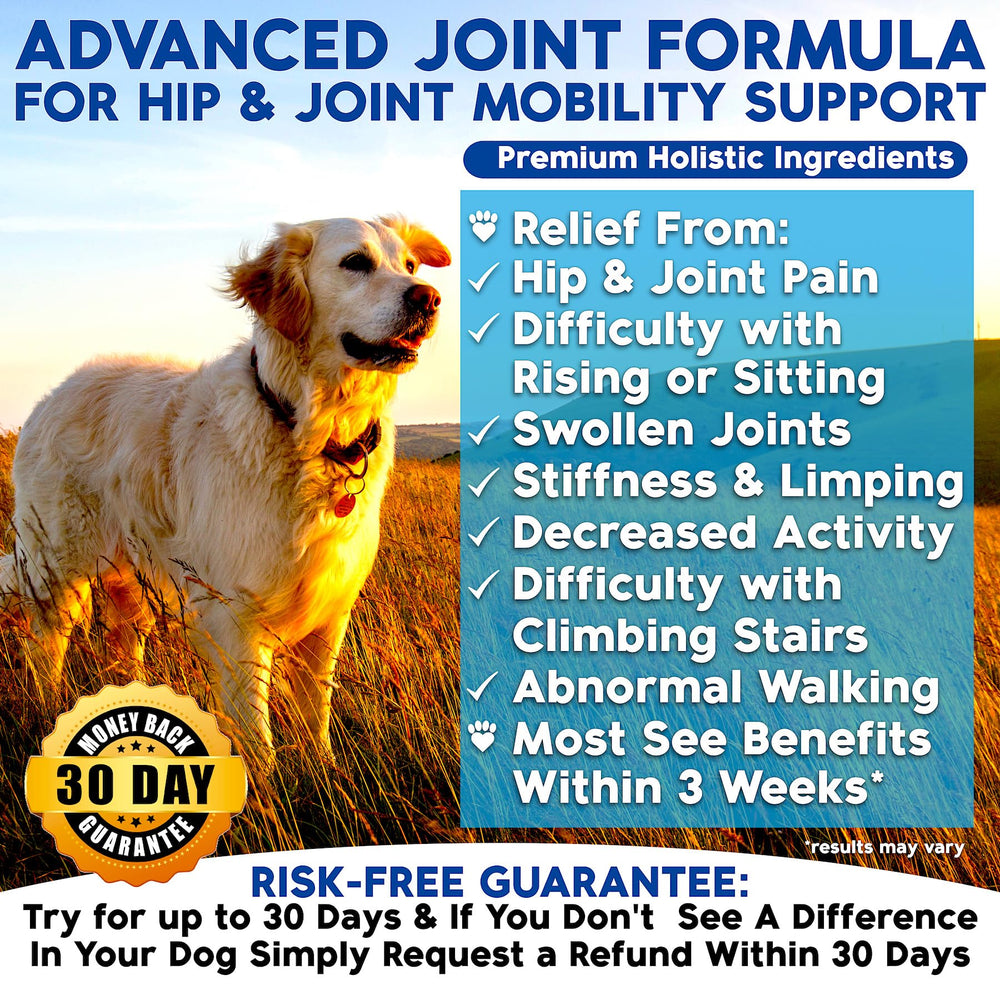 Well Loved Glucosamina para perros: masticables suaves para articulaciones más flexibles.
