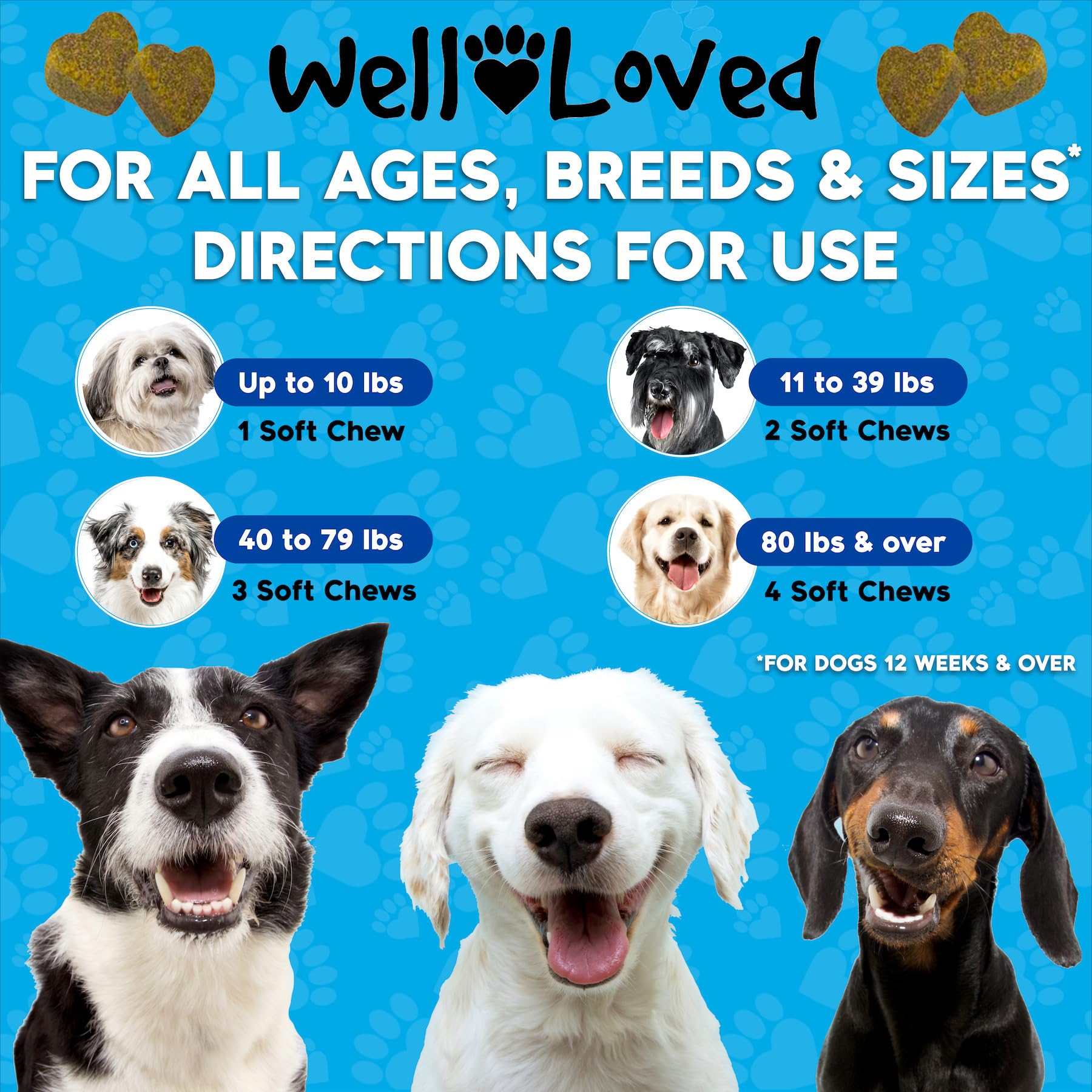 Well Loved Glucosamina para perros: apoyo articular para razas grandes y perros activos.