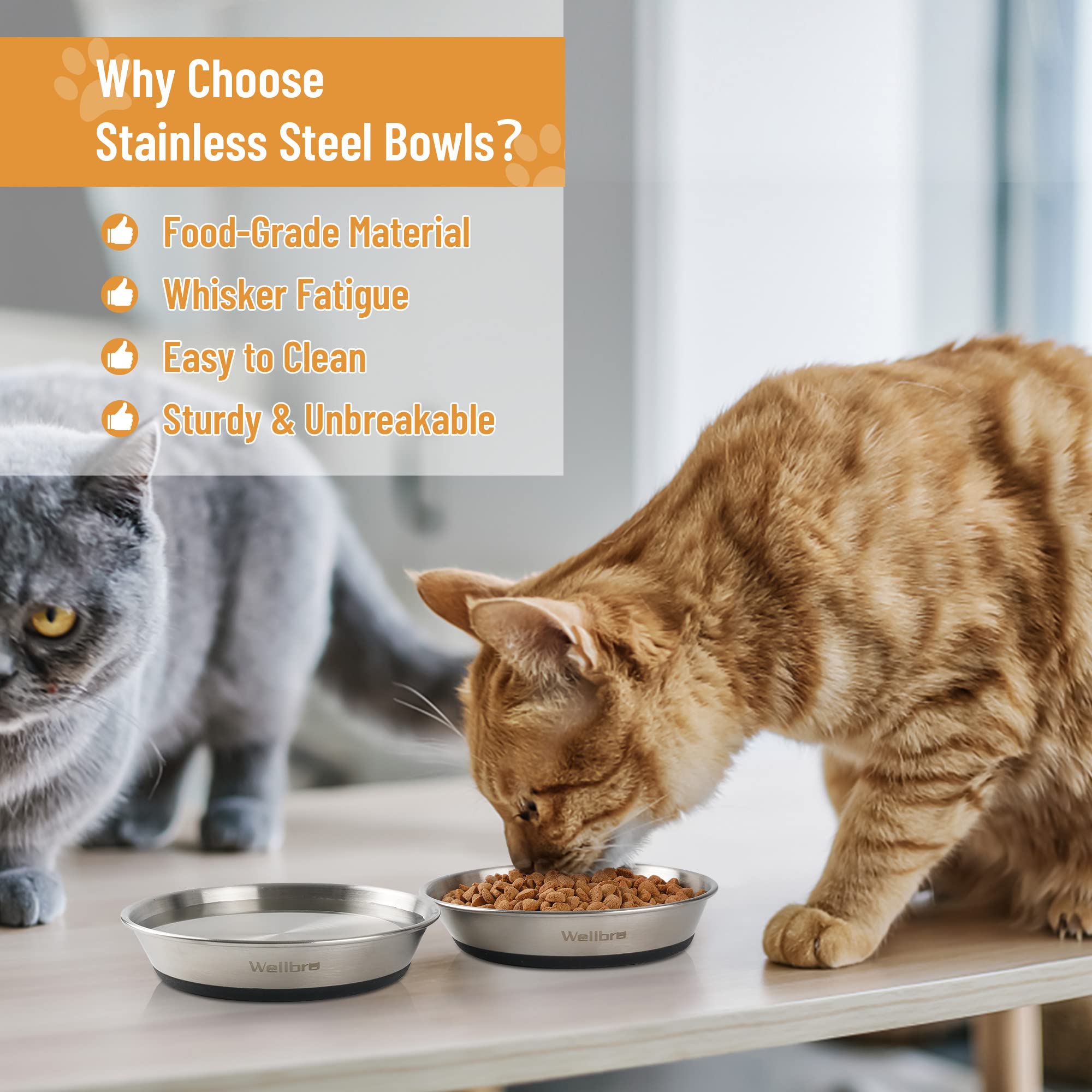 Wellbro cuenco para gatos con base de silicona antideslizante