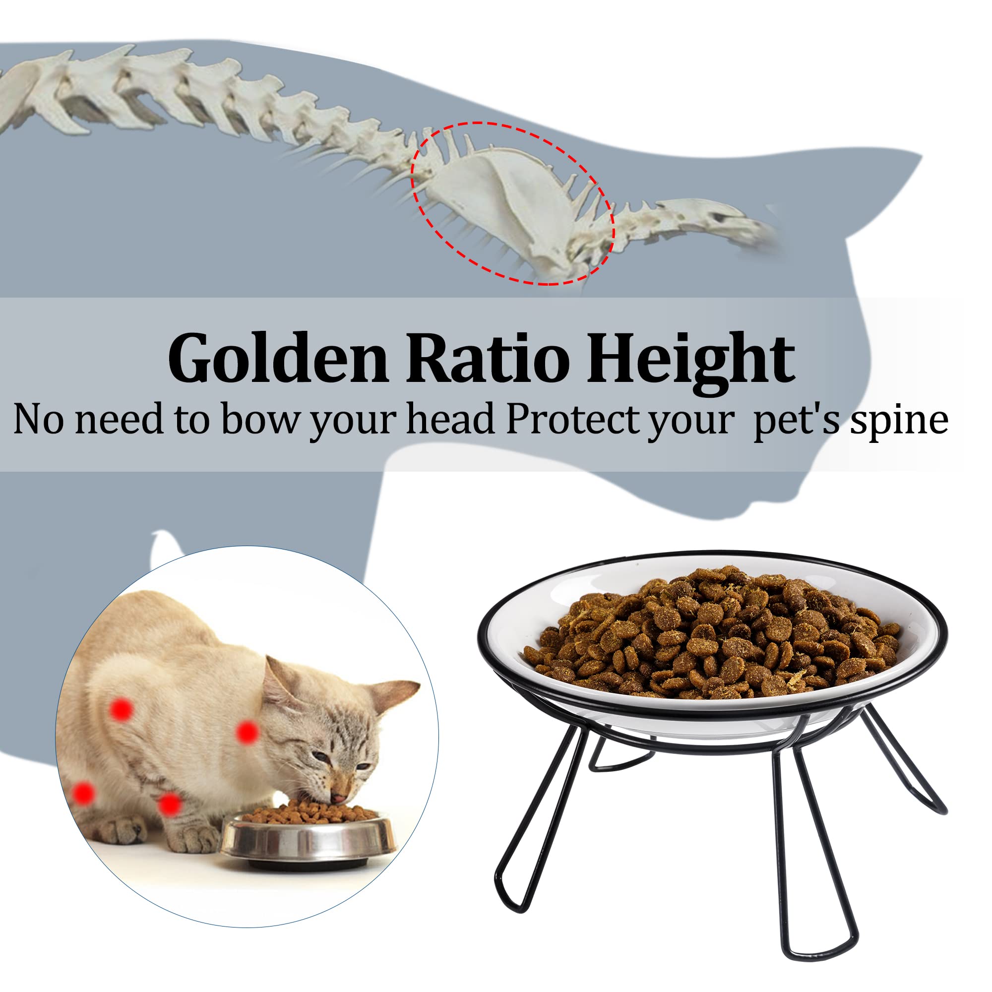 Wellbro dos cuencos elevados para gatos, ideal para agua y comida.