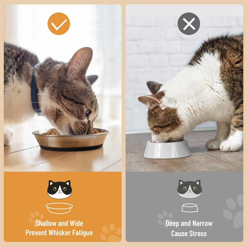 Wellbro: plato para gatos con borde bajo que reduce contacto de bigotes al comer.