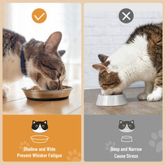 Wellbro: plato para gatos con borde bajo que reduce contacto de bigotes al comer.