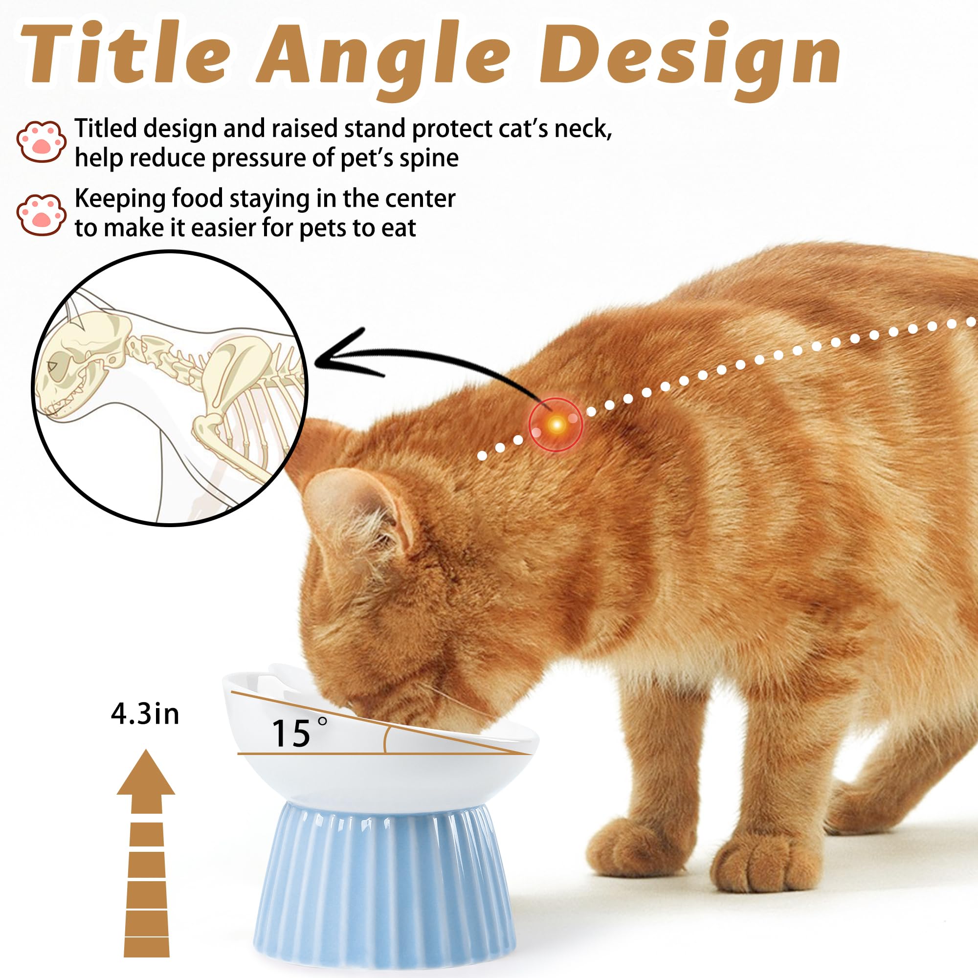 Wellbro tazón anti vómitos para gatos en interior mantiene la comida centrada