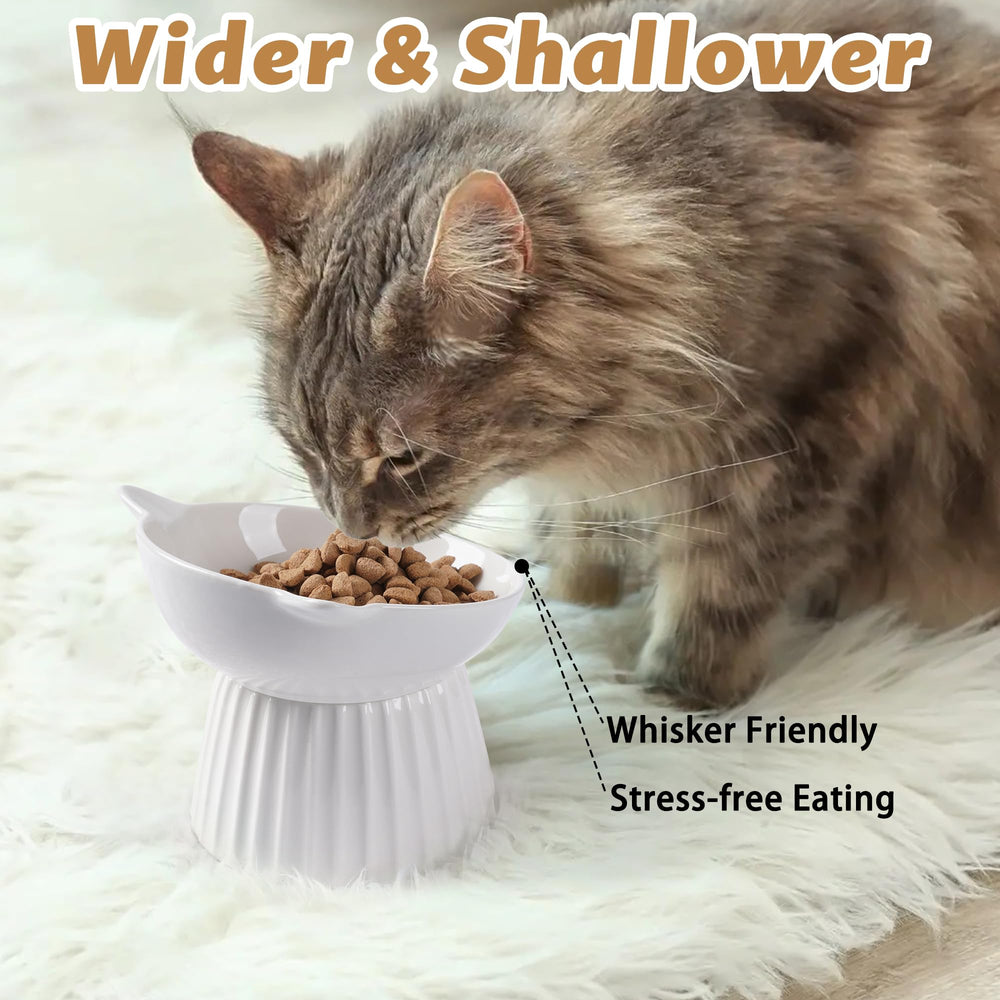 Wellbro diseño ergonómico que facilita la comida de tu gato en casa.