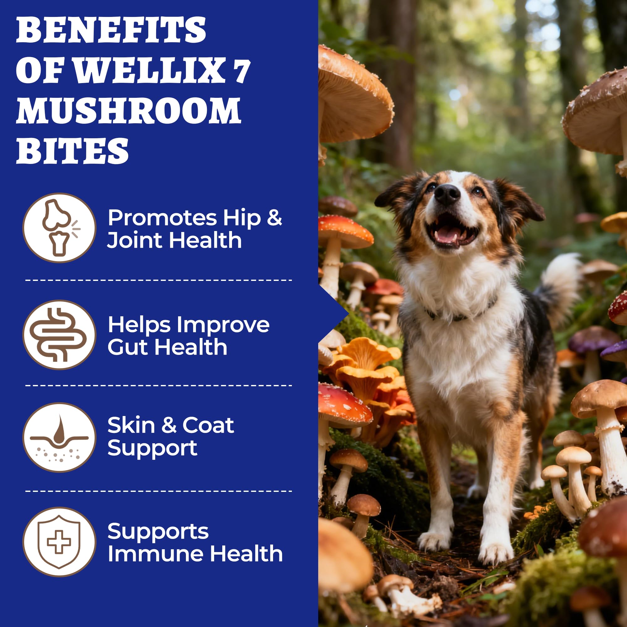 Wellix 260 Bites Mezcla de Hongos para Perros, cuidado digestivo.
