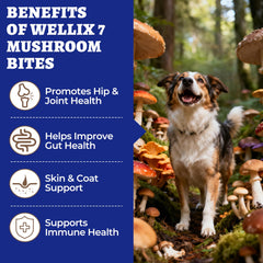 Wellix 260 Bites Mezcla de Hongos para Perros, cuidado digestivo.