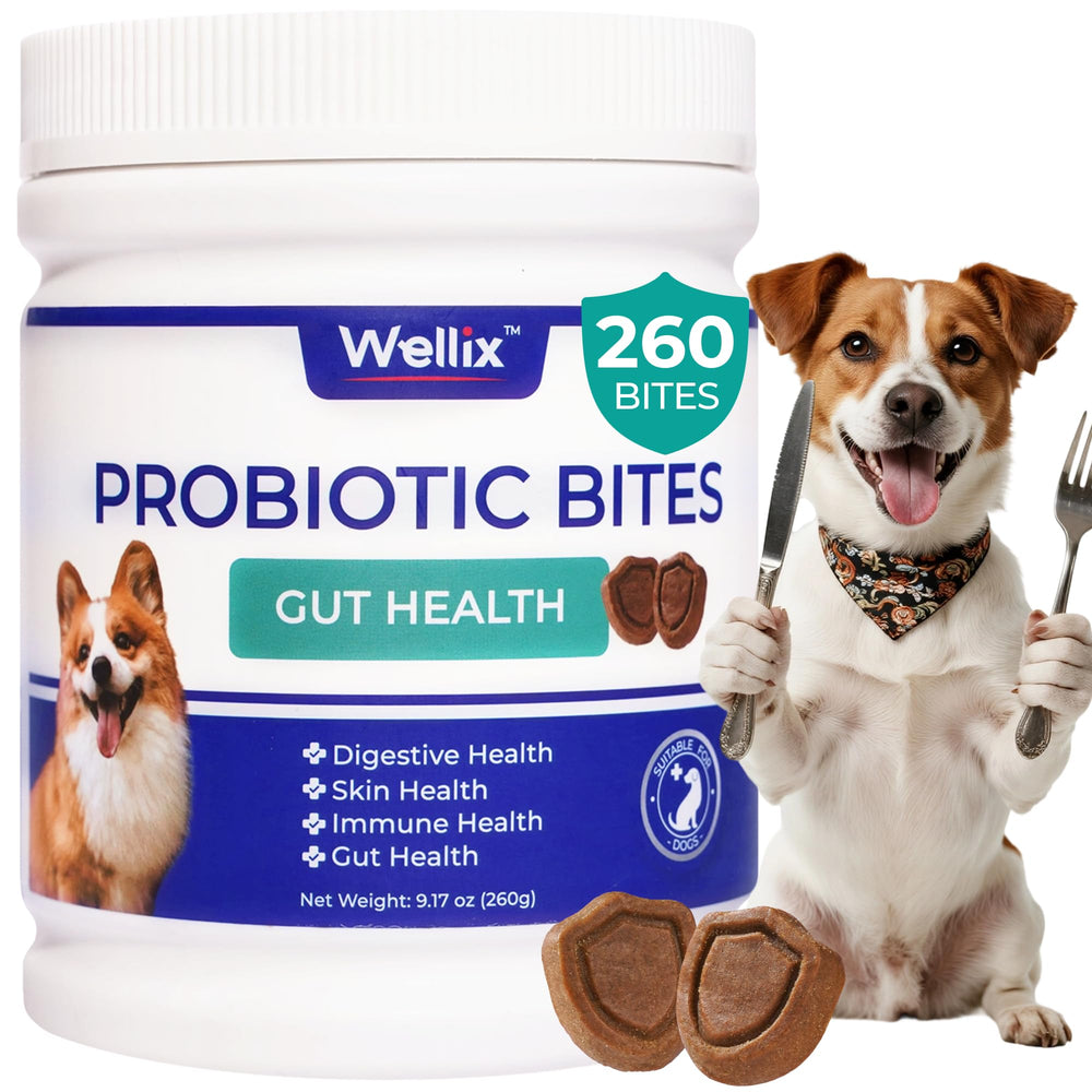 Wellix 260 Bites en frasco, apoyo a la salud intestinal de perros