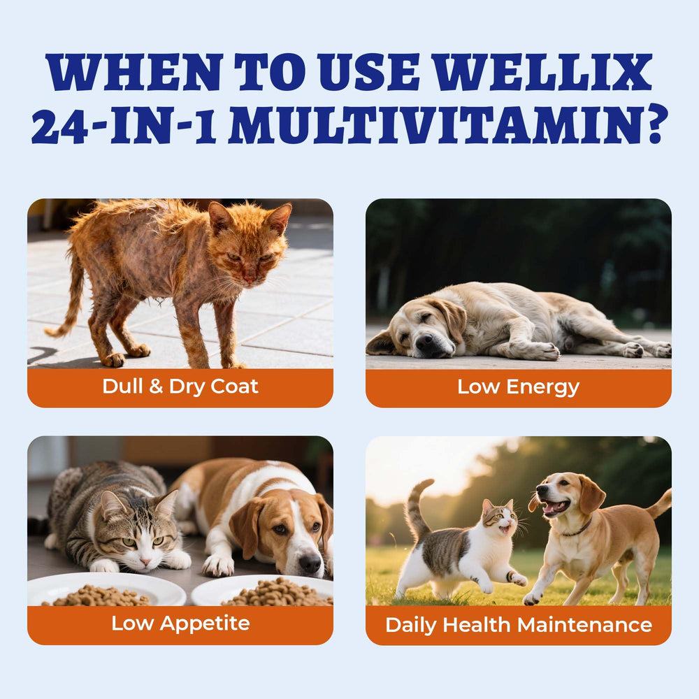 Wellix arándano rojo y zinc para inmunidad y digestión saludable.