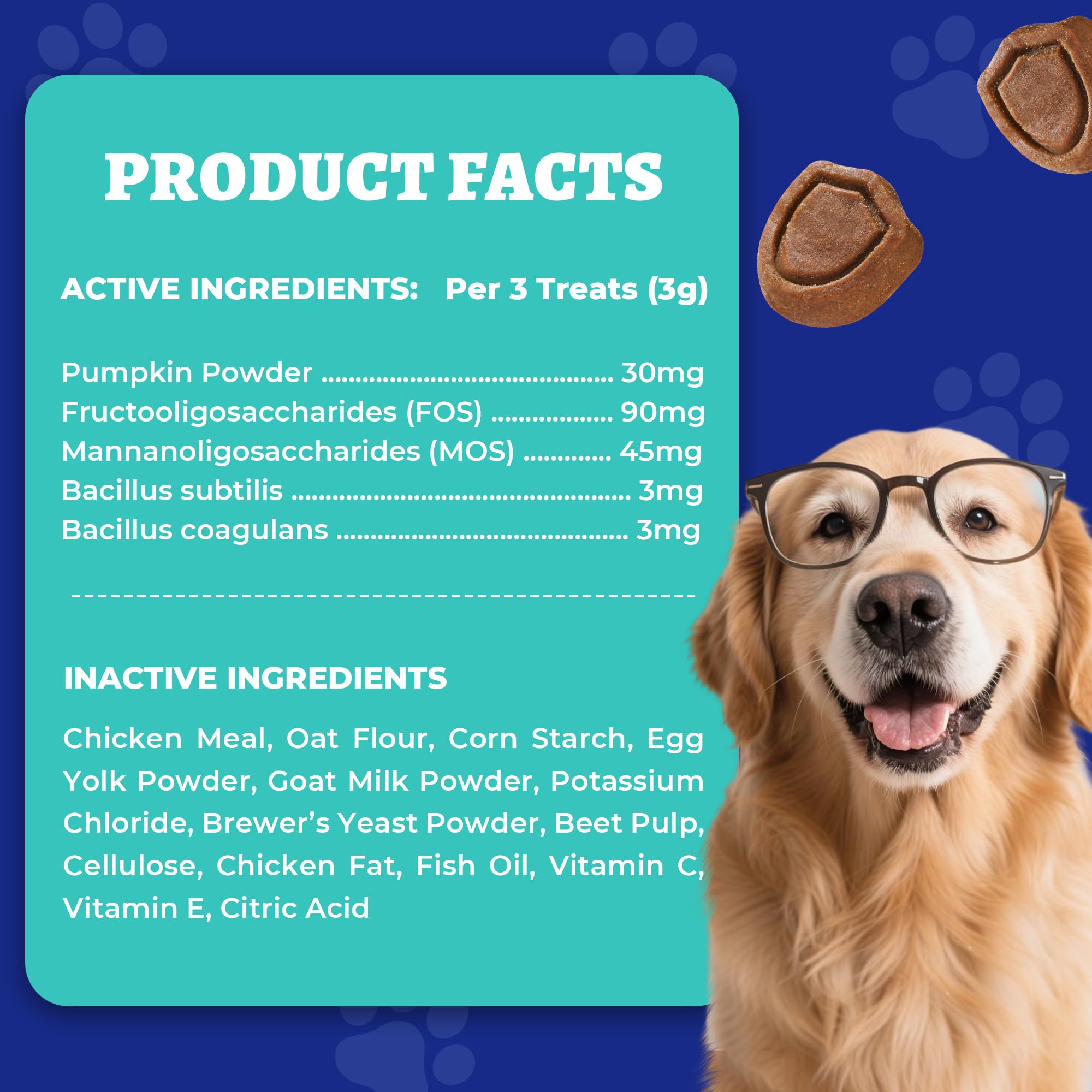Beneficios digestivos y piel gracias a Wellix para perros