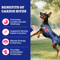 Wellix Cardio Bites corazon-salud, mejora la circulación en perros mayores.