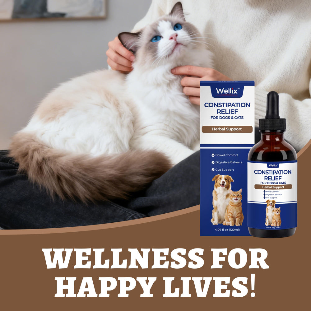 Wellix cuidado gastrointestinal diario para gatos y perros, sin complicaciones