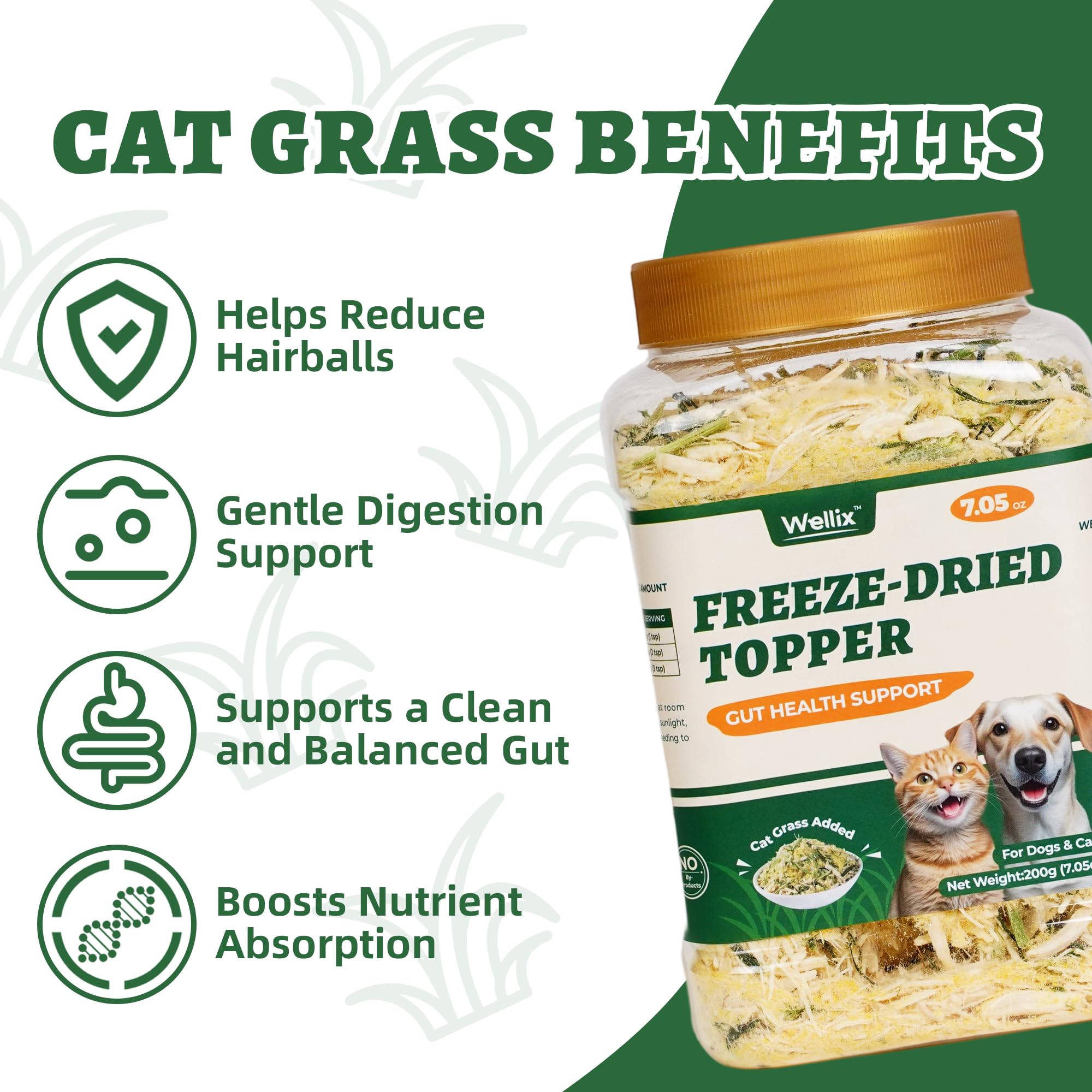 Gato come Wellix topping sobre kibble para mayor sabor y aceptación
