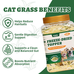 Gato come Wellix topping sobre kibble para mayor sabor y aceptación