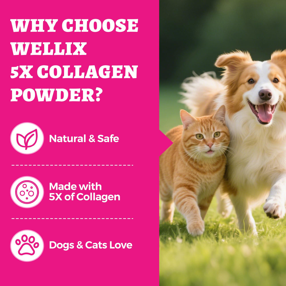 Wellix polvo colágeno natural, mezclar con comida para dosis diaria.