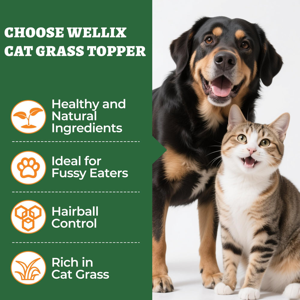 Snack crujiente Wellix para entrenamiento de perros y gatos