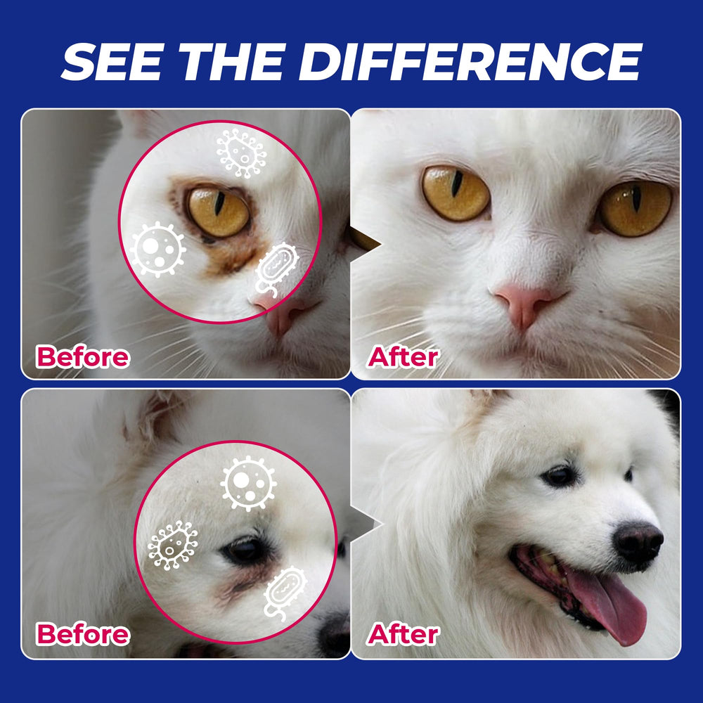 Wellix: limpieza diaria de ojos para perros y gatos de cualquier tamaño