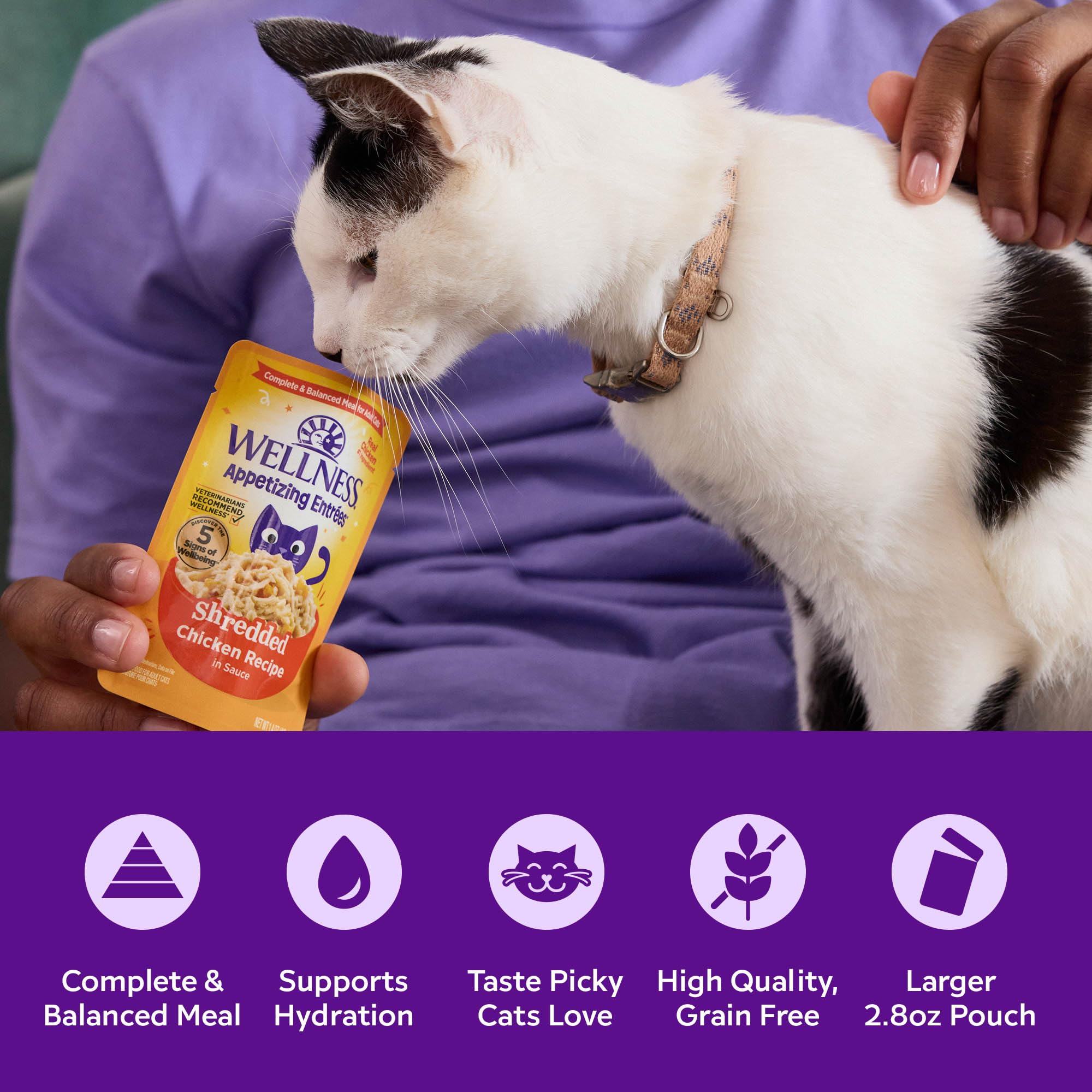 Wellness Appetizing Entrées Mousse proteína alta para nutrición felina equilibrada