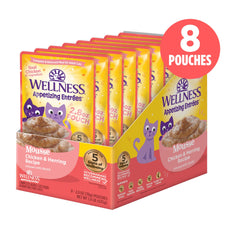 Wellness Appetizing Entrées Mousse: textura espumosa para gatos exigentes.
