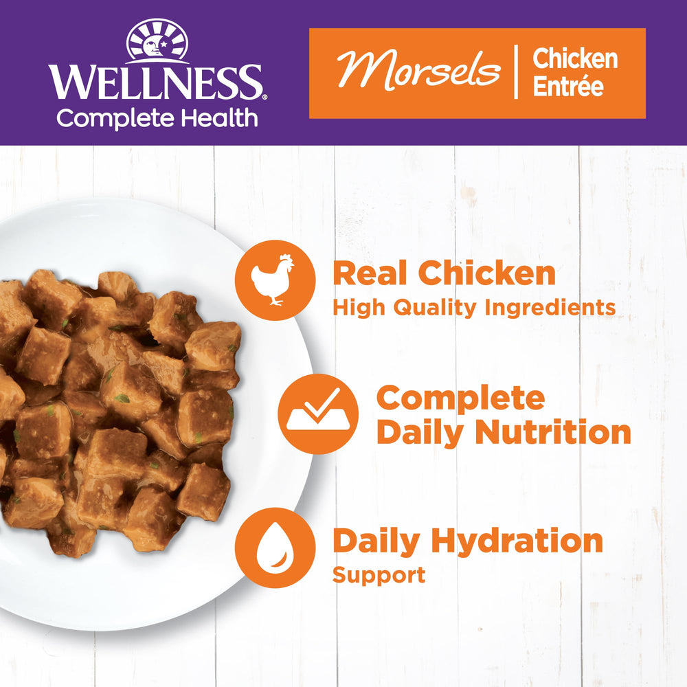 Wellness bocados sin granos para gato con pollo: opción natural en salsa