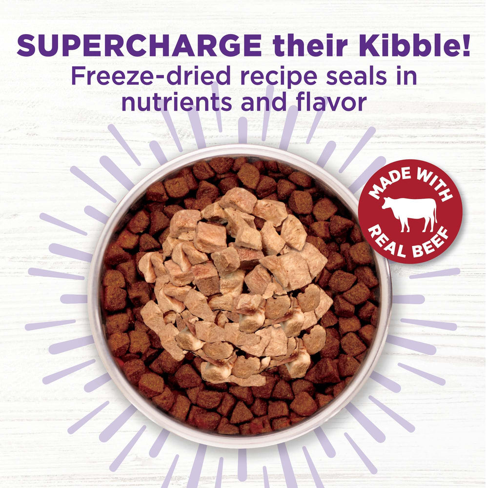 Wellness Bowl Boosters Bare trozos liofilizados crudos, textura crujiente.