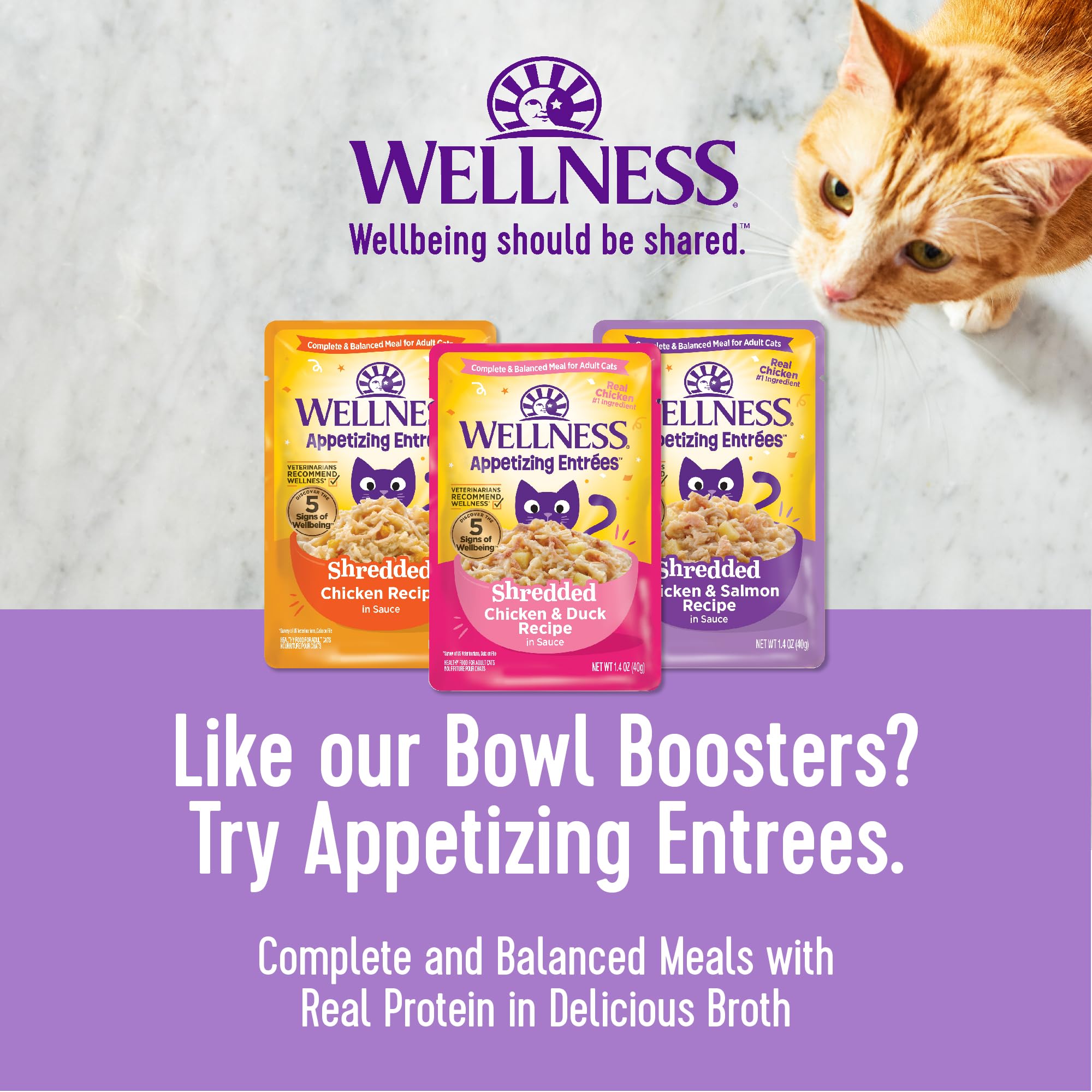 Wellness Bowl Boosters porciones individuales para gatos.