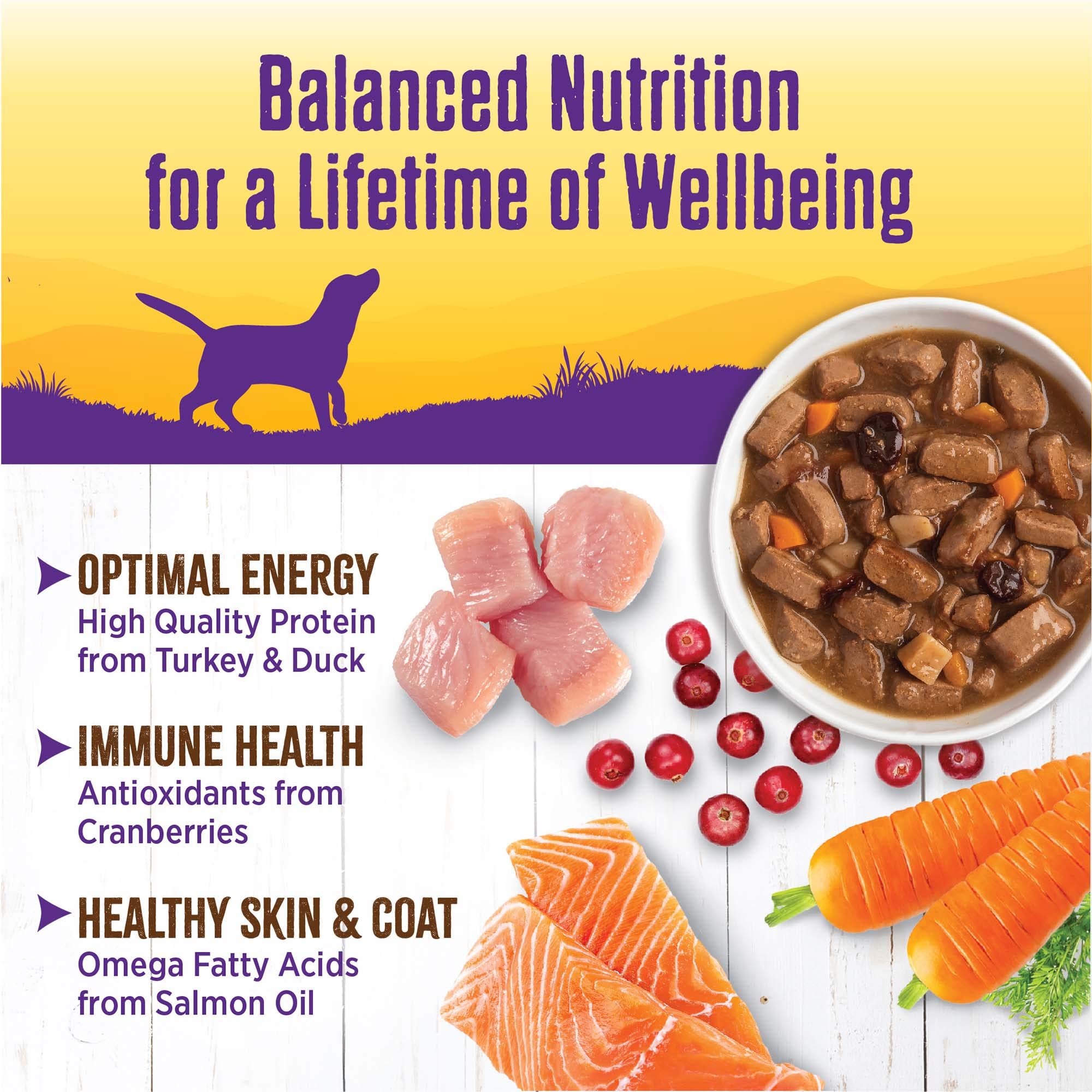 Wellness Complete Health, arándanos y camote, ingredientes naturales para la vitalidad.