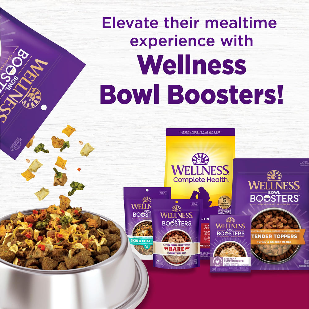 Wellness Complete Health croquetas con pavo y avena en presentación atractiva.