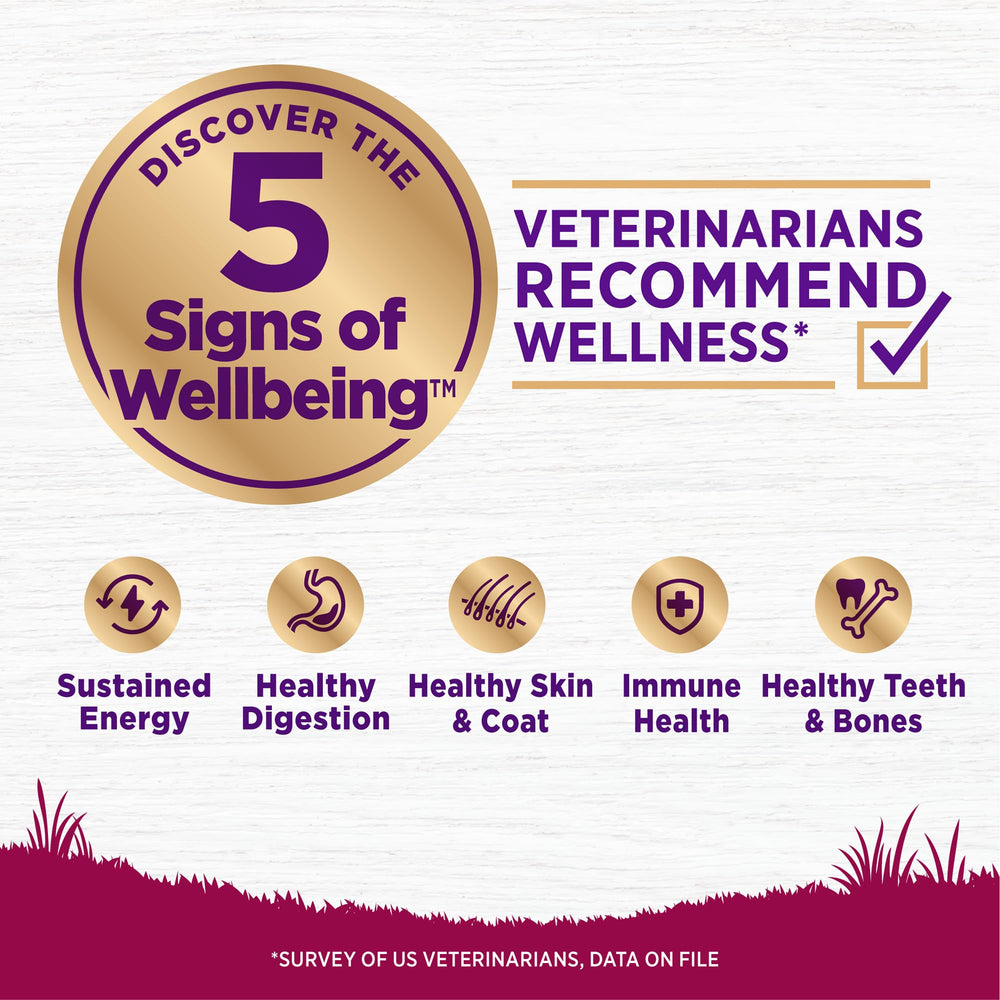 Wellness Complete Health bolsa de alimento seco, ingredientes naturales para perros pequeños