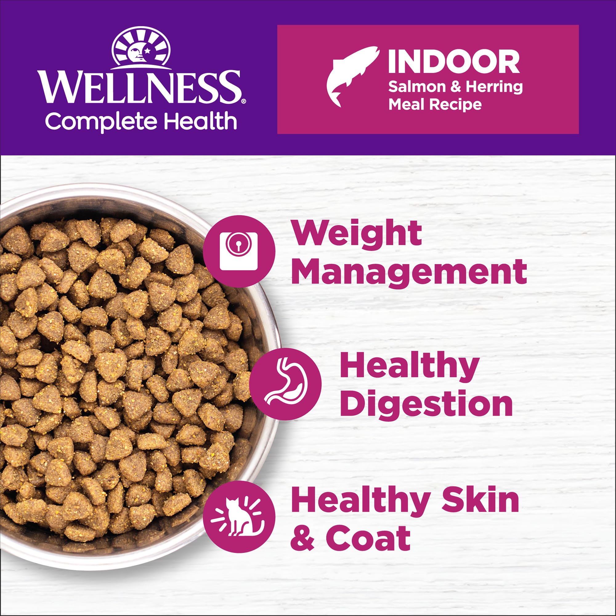 Wellness Complete Health en un tazón para gato interior, croquetas crujientes.