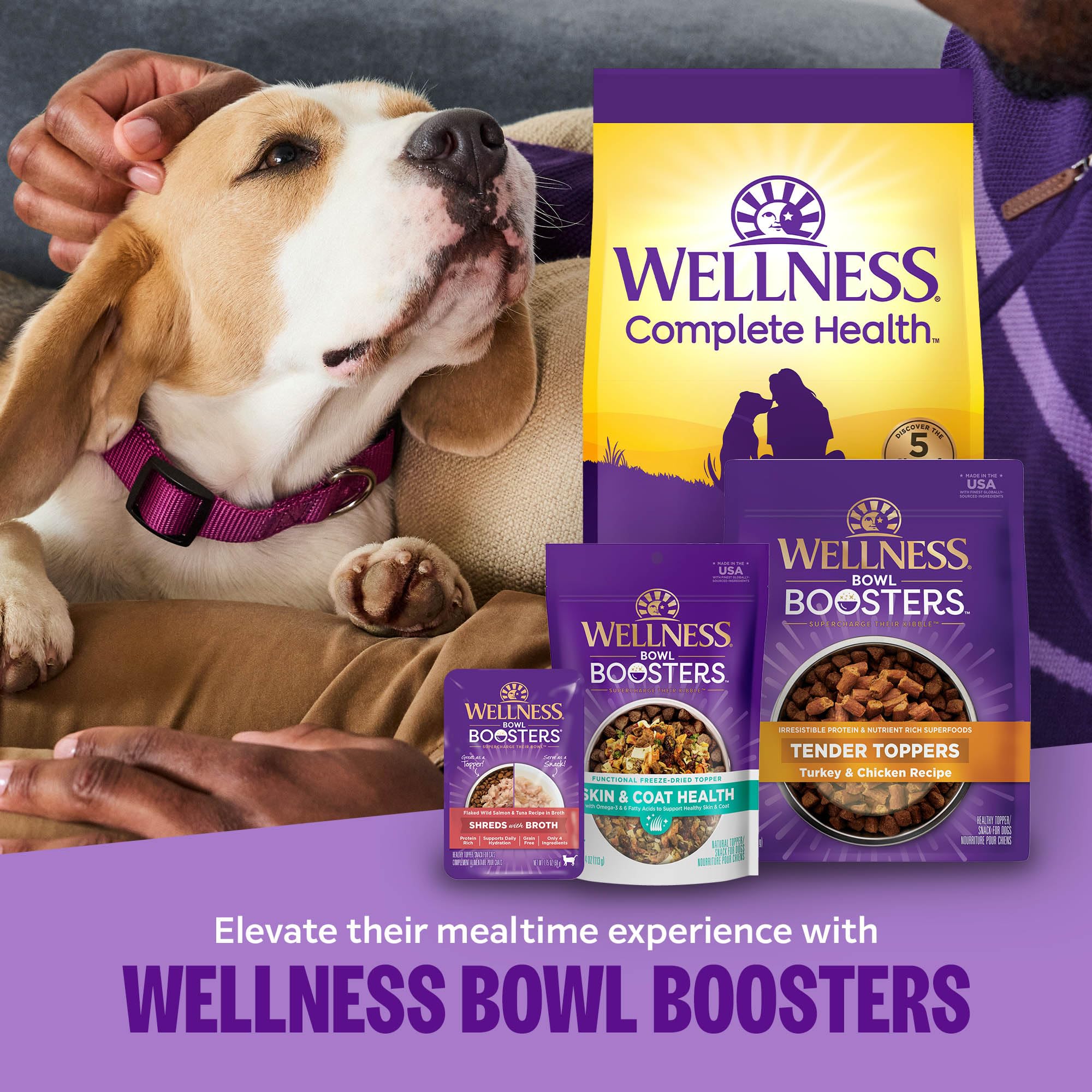 Wellness Complete Health glucosamina y antioxidantes para articulaciones e inmunidad