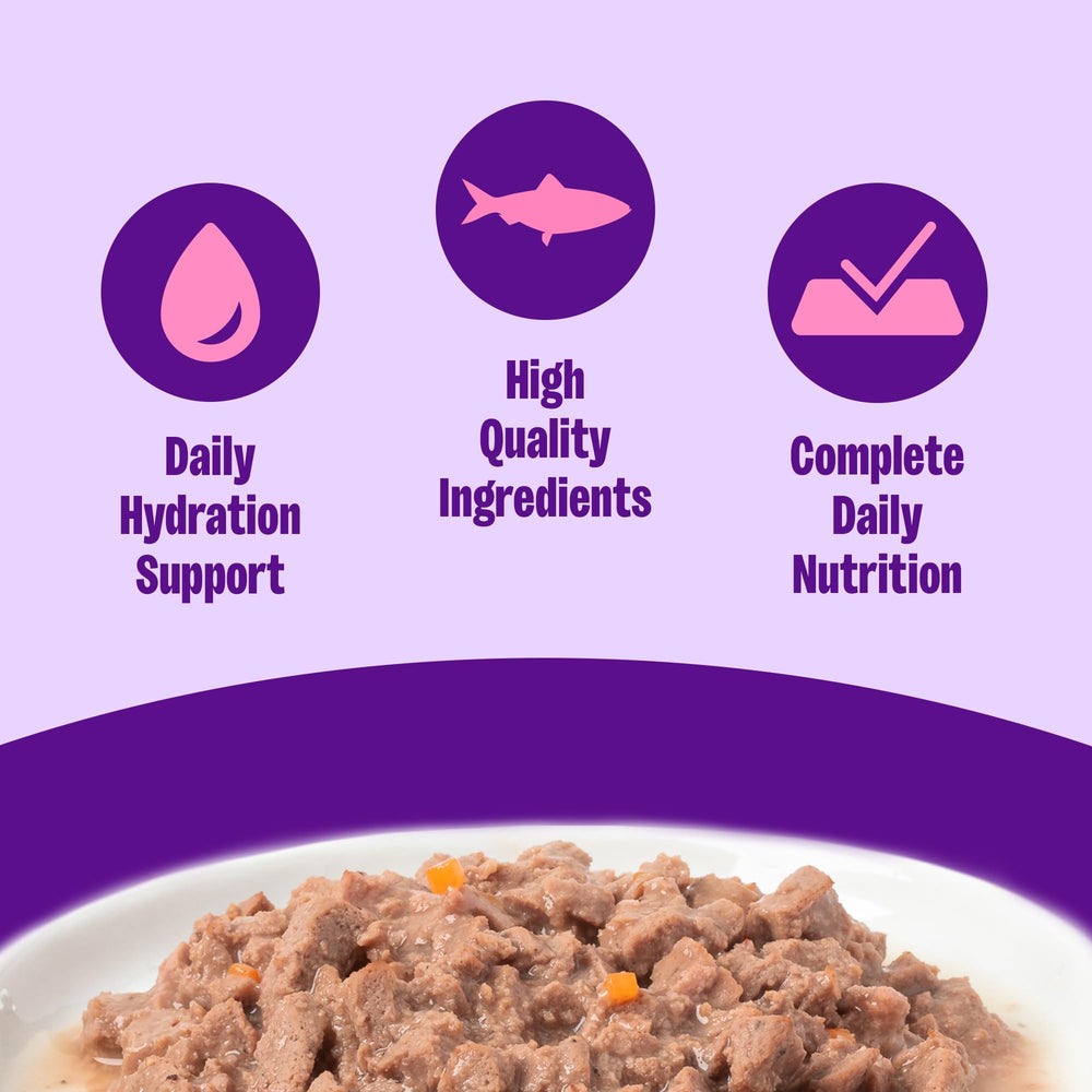 Wellness Complete Health Gravy porción individual lista para disfrutar