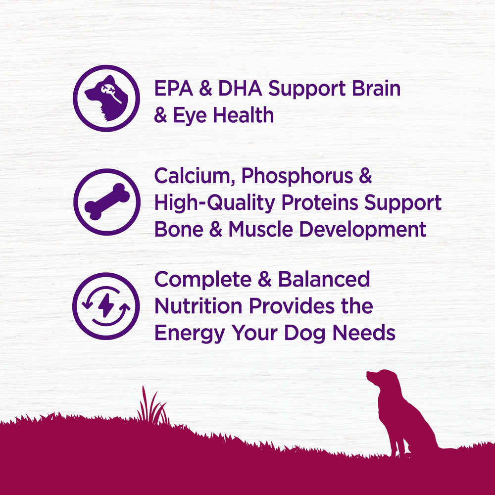 Ingredientes naturales seleccionados para nutrición diaria de tu cachorro Wellness