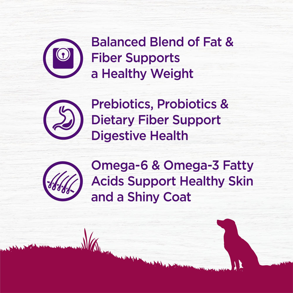 Wellness Complete Health ingredientes naturales pavo arroz, fuente de proteína de calidad
