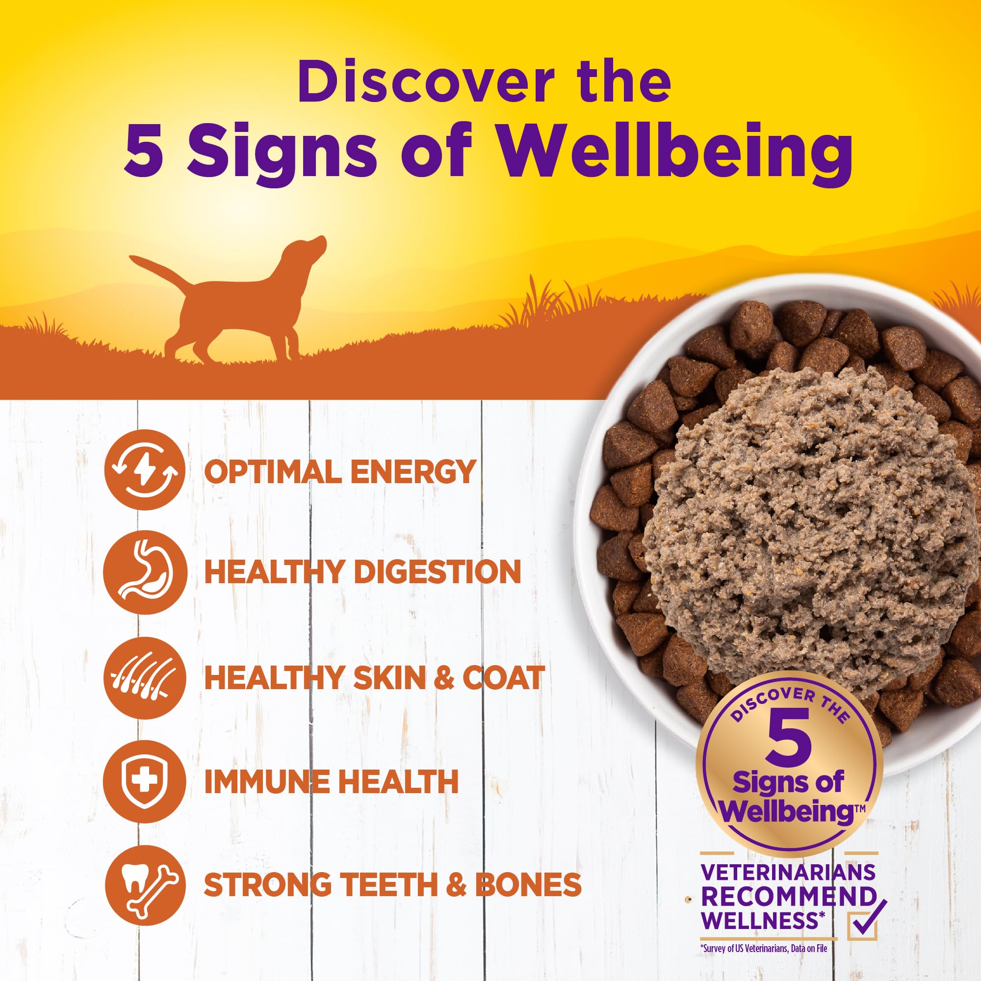 Wellness Complete Health para perro, apoya inmunidad y piel saludable.