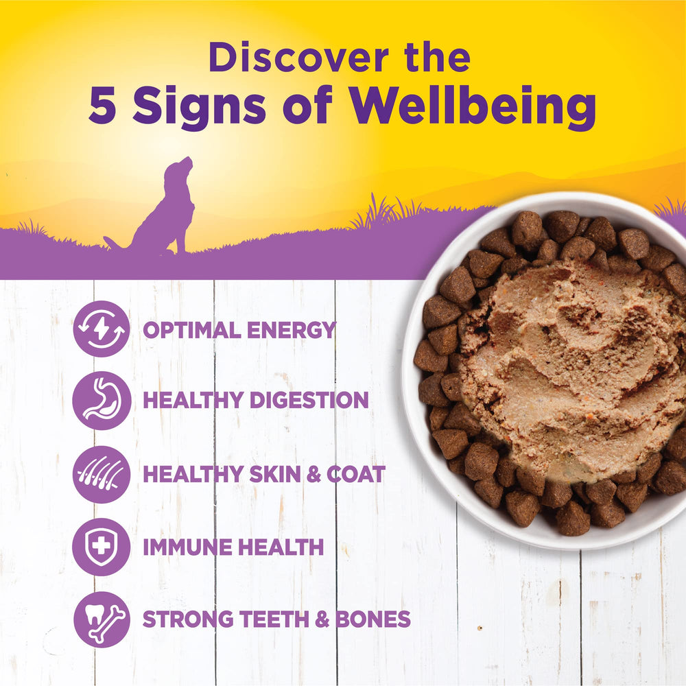 Wellness Complete Health lata perro piel-brillo, apoyo para una piel y pelaje saludables